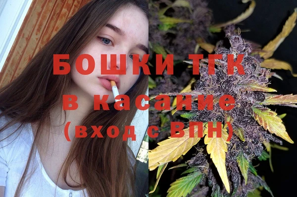 хмурый Лиски