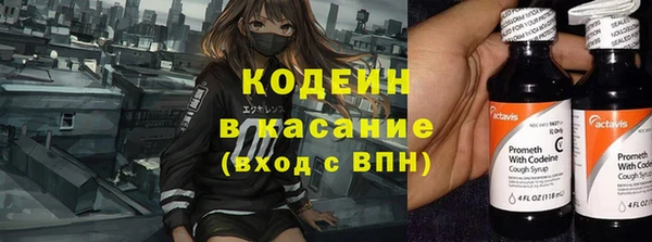 хмурый Лиски