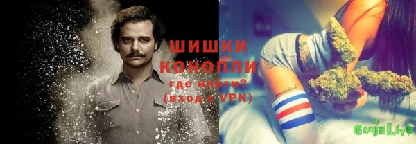 хмурый Лиски