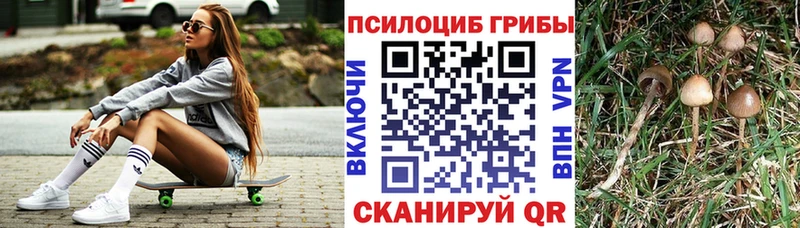 Галлюциногенные грибы ЛСД  Купить закладки  Анива 